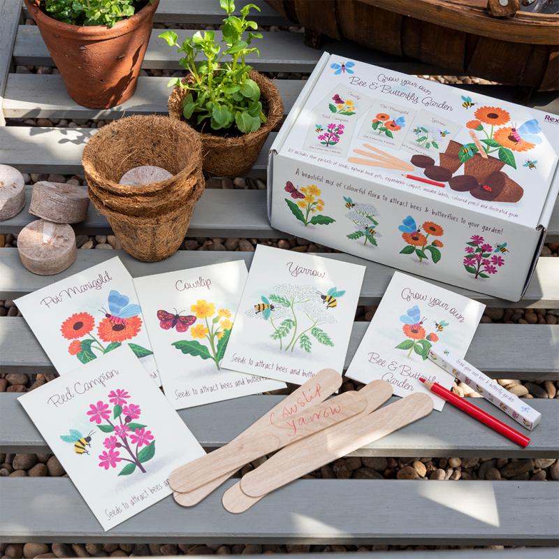 Wonders of Nature - Bee and Butterfly Garden Seed Kit - - NSPCC Shop