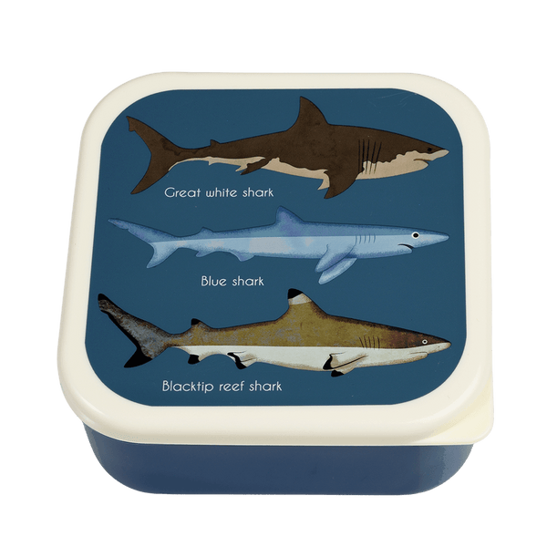 Sharks Snack Boxes (Set Of 3) NSPCC Shop