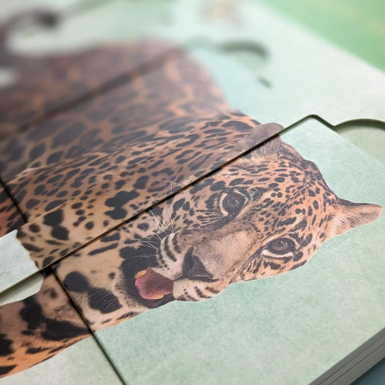 Little Wonders Jungle Animals Puzzle Slider Board Book - NSPCC Shop
