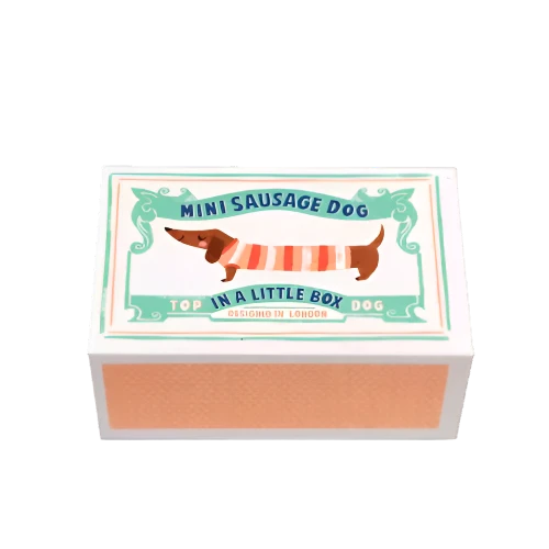 Mini sausage dog in a little box - Sausage Dog soft toy