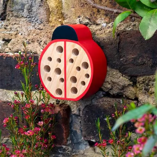 Wooden Ladybird Hotel hung up on a brick wall surrounded by wild flowers.