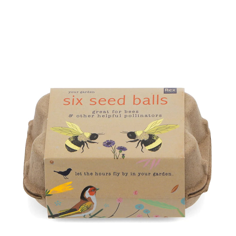 Closed box of six Seed Balls with packaging featuring cartoon wildlife. 