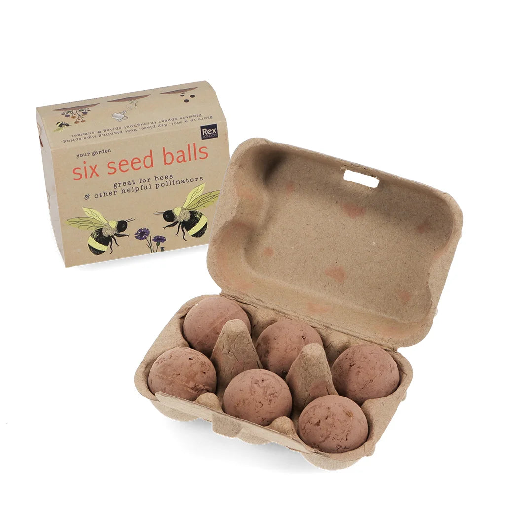 Whiteout open box of six Seed Balls.