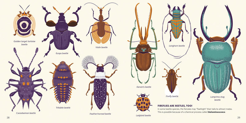 Amazing Insects Around The World (Penguin Putnam) - NSPCC Shop