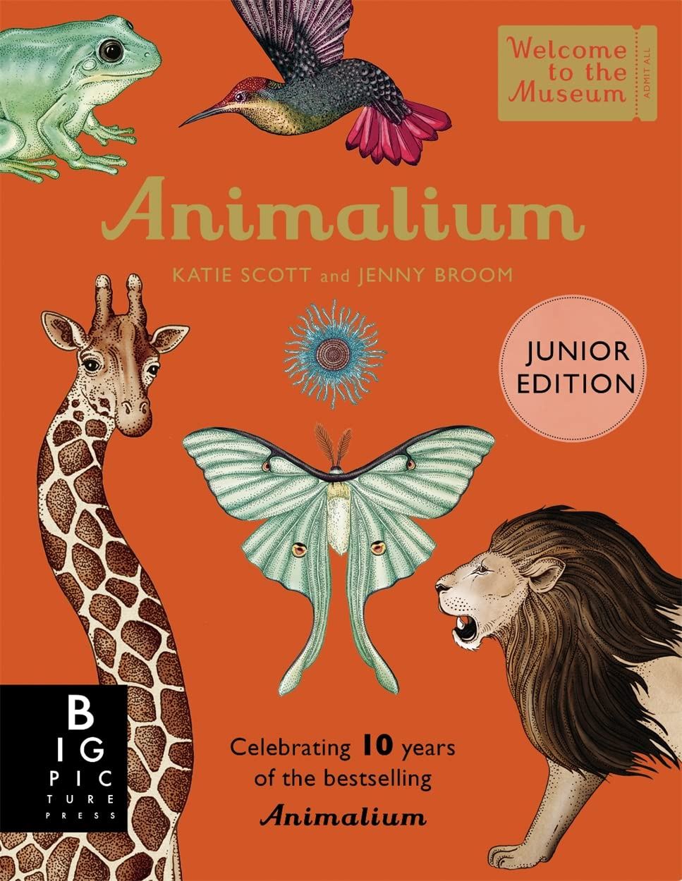 Animalium Junior Edition - NSPCC Shop