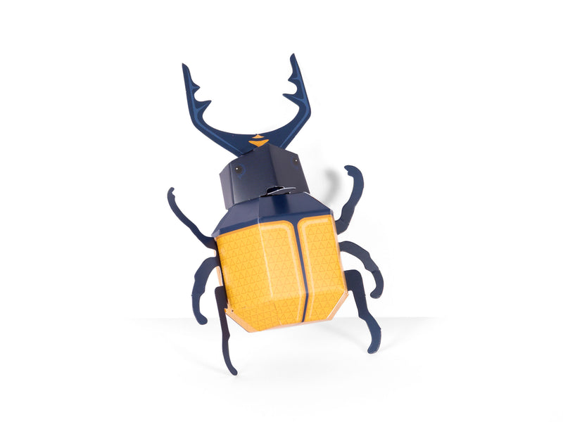 Create Your Own Super Stag Beetle - NSPCC Shop