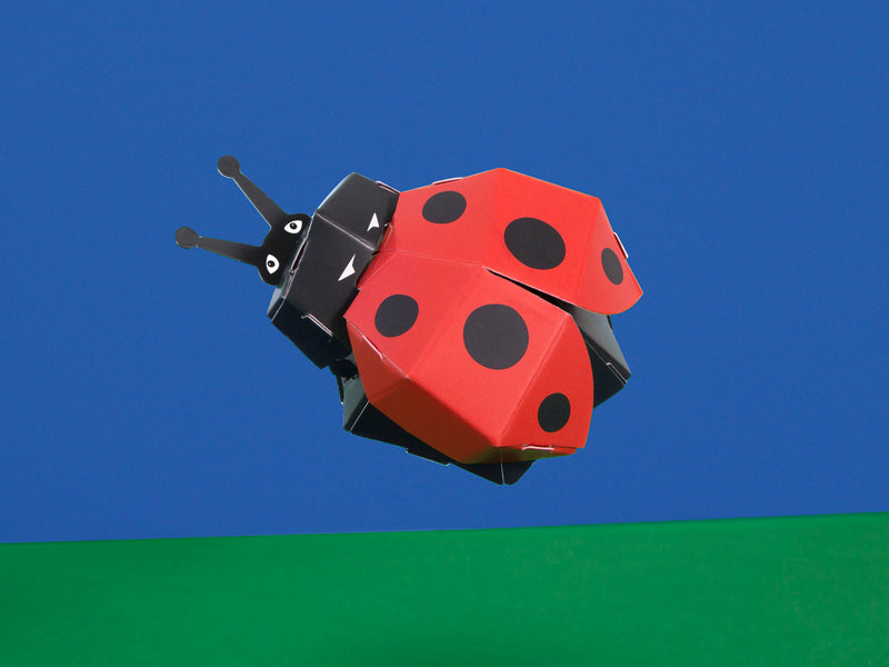 Create Your Own Lovely Ladybird - NSPCC Shop