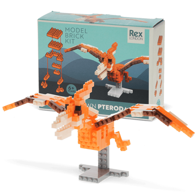Build your own Pterodactyl model - NSPCC Shop