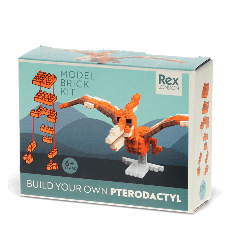 Build your own Pterodactyl model - NSPCC Shop