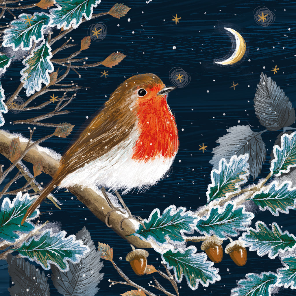 Moonlit Robin Christmas Cards (10 pack) - NSPCC Shop