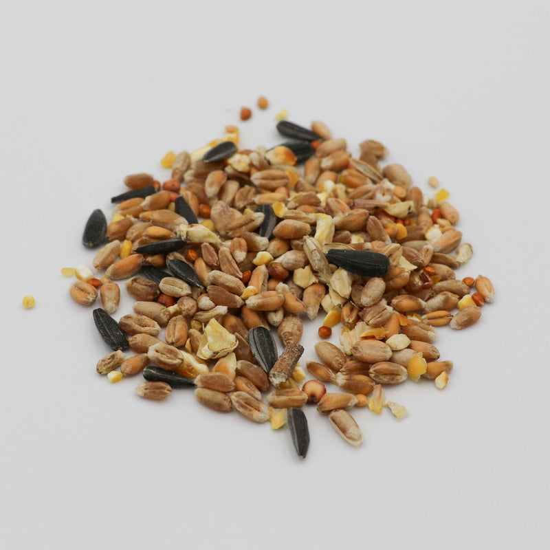 NSPCC Magical Reindeer Food