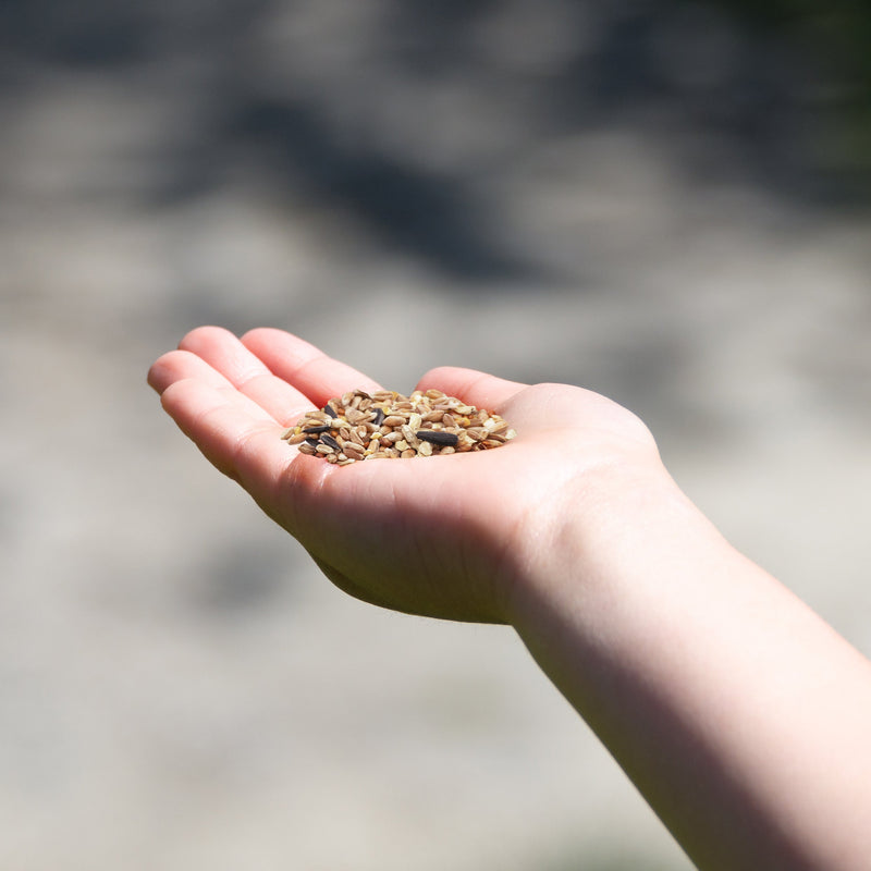 NSPCC Magical Reindeer Food