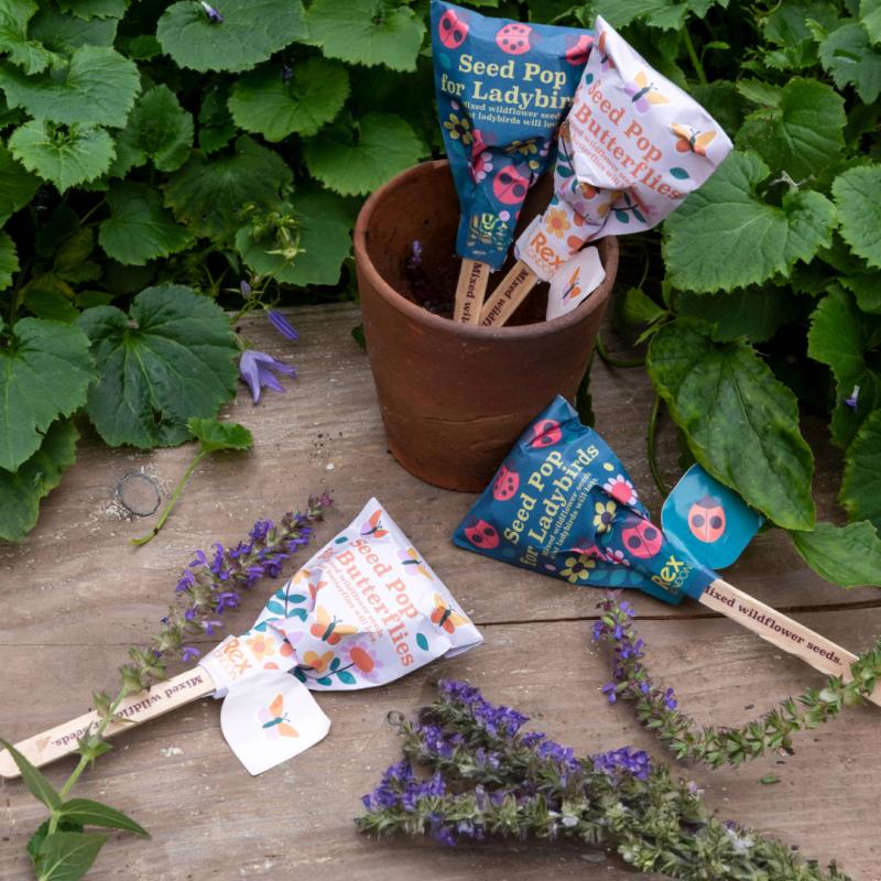 Wildflower seed pops - NSPCC Shop