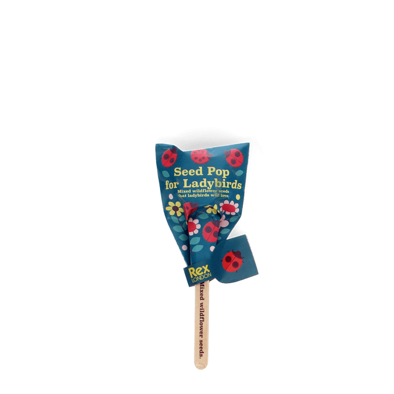 Wildflower seed pops - NSPCC Shop