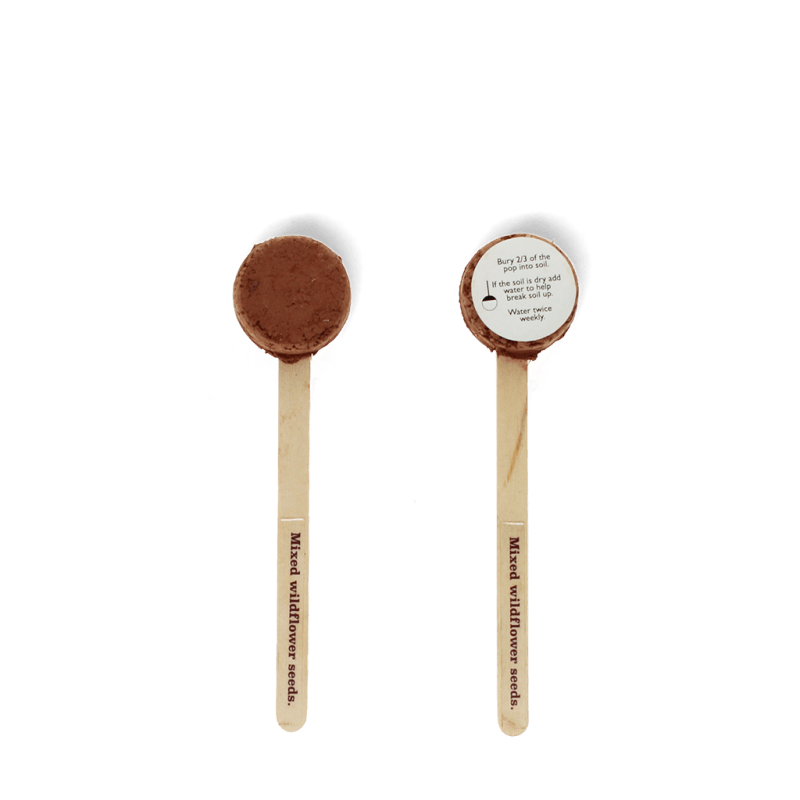 Wildflower seed pops - NSPCC Shop