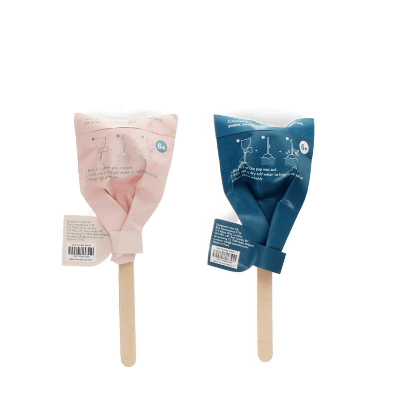 Wildflower seed pops - NSPCC Shop