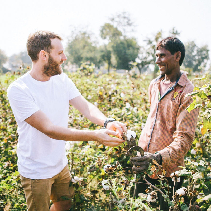 Two men holding a cotton plant and smiling at one another in a field.