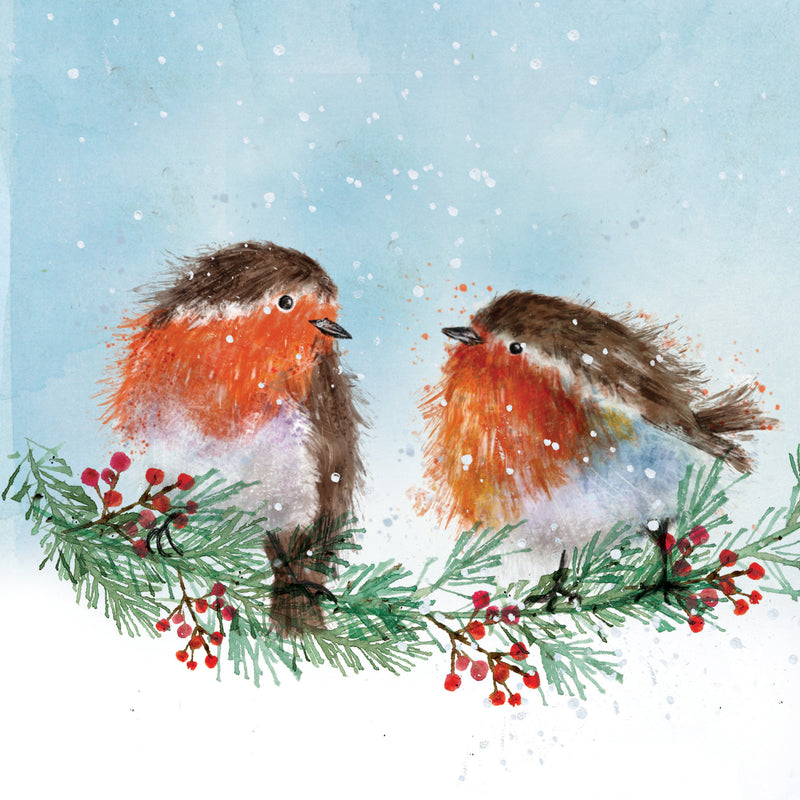 Fluffy Robins NSPCC Christmas Cards (10 pack) - NSPCC Shop