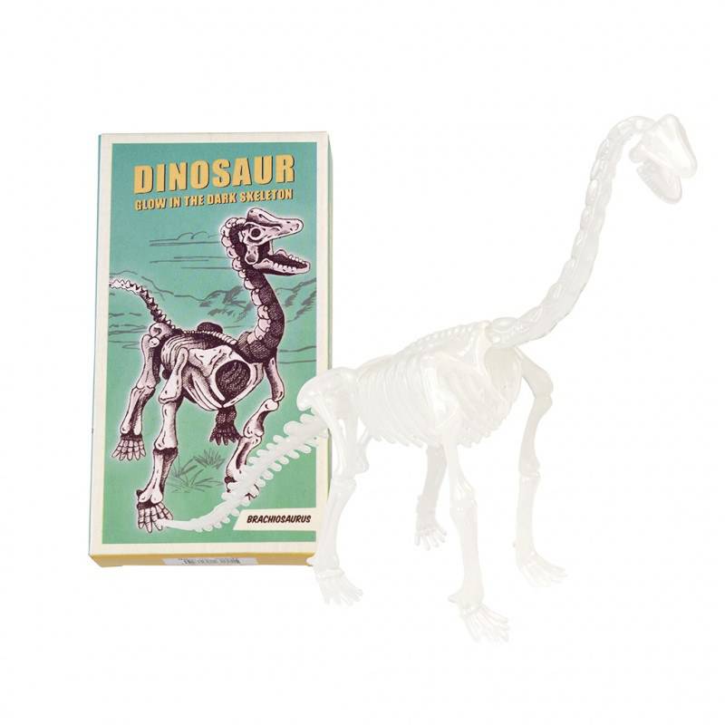 Assorted dinosaur skeleton kits | NSPCC Shop.