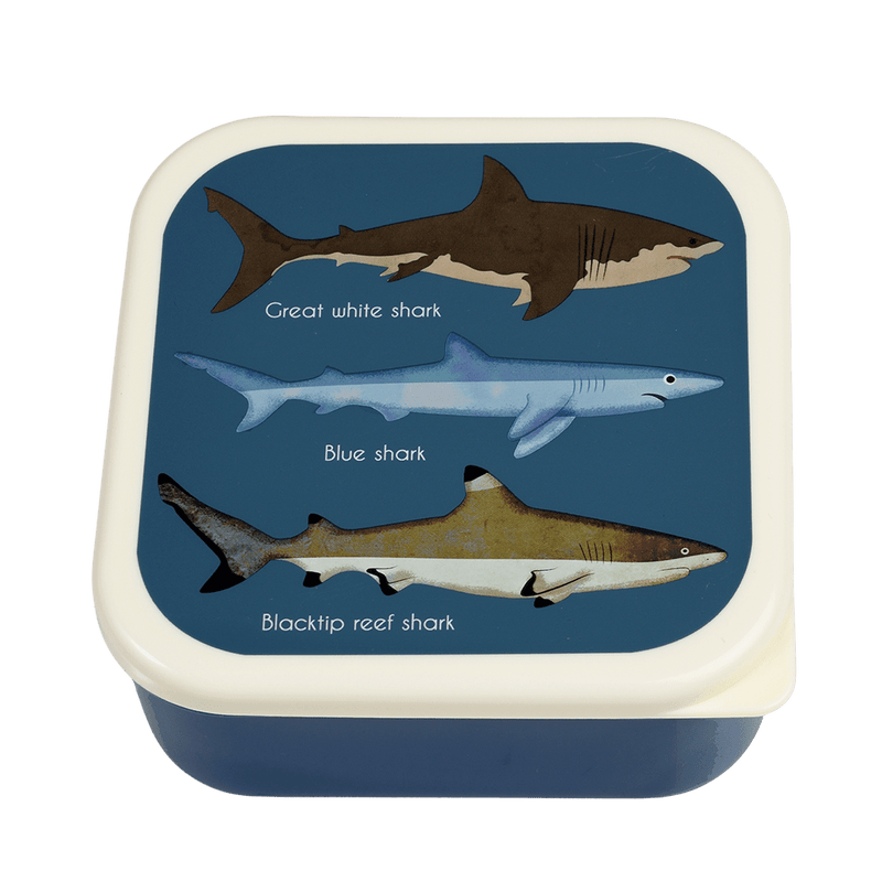 Sharks Snack Boxes (Set Of 3) - NSPCC Shop