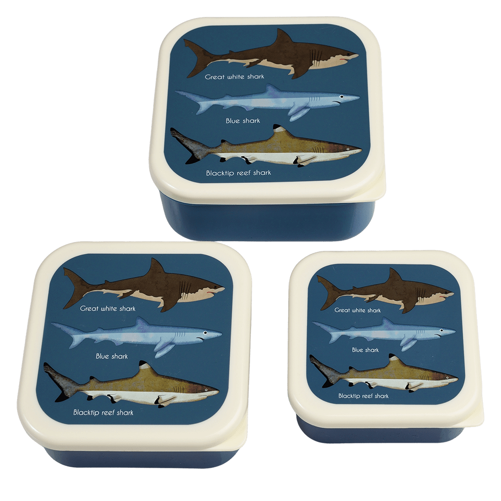 Sharks Snack Boxes (Set Of 3) - NSPCC Shop