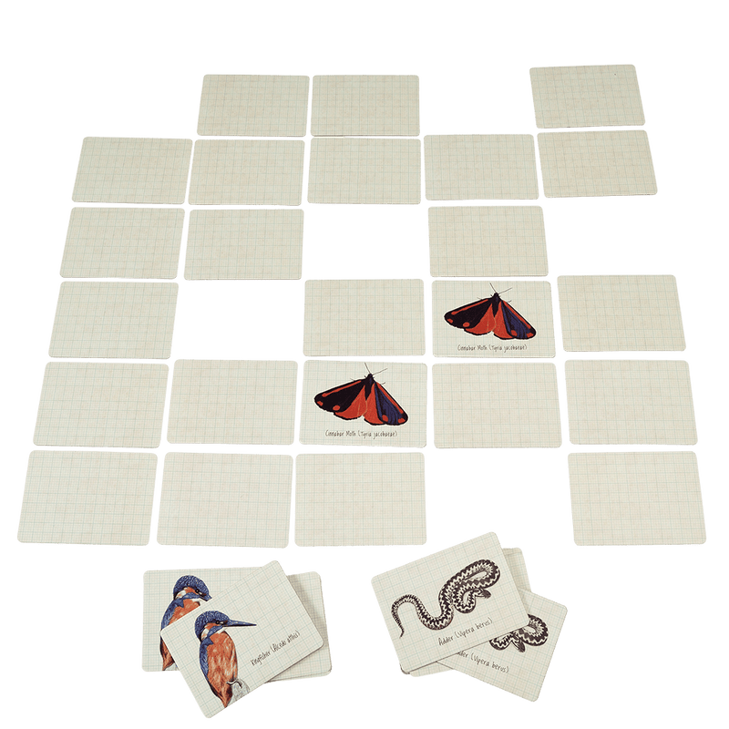 Nature Trail Memory Game (40 Pieces) - NSPCC Shop