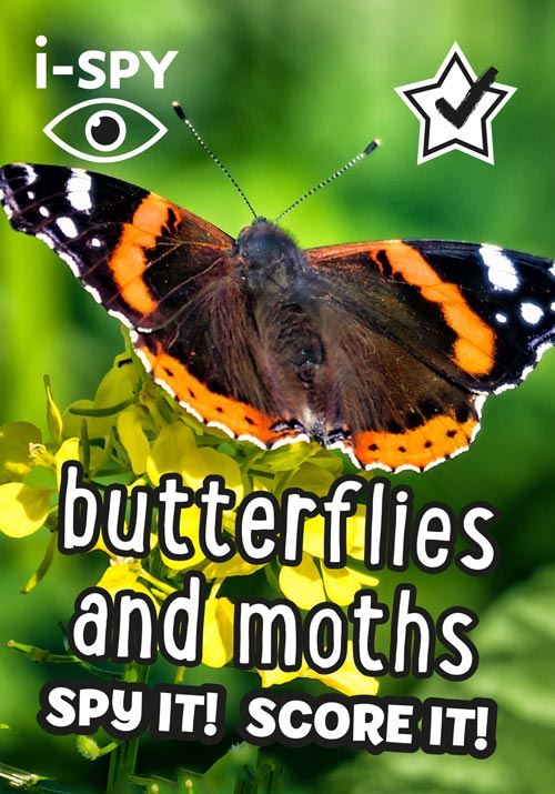 I Spy Butterflies and Moths - NSPCC Shop