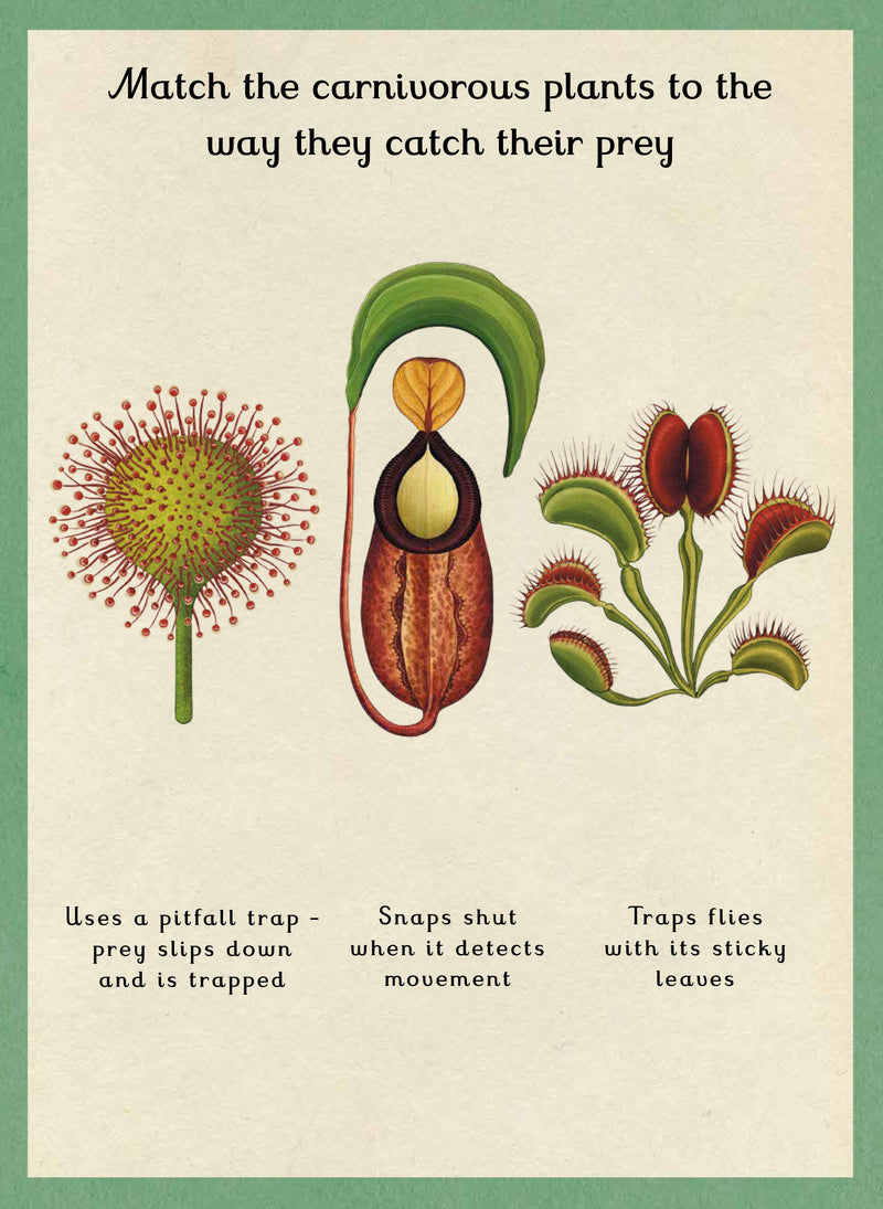 Botanicum Activity Book | NSPCC Shop.