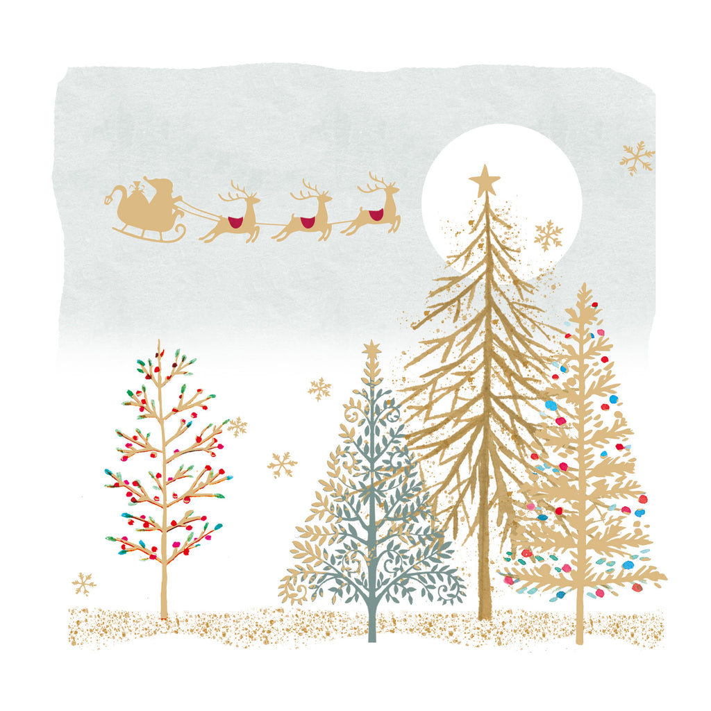 Present Delivery NSPCC Charity Christmas Cards (pack of 10) - NSPCC Shop