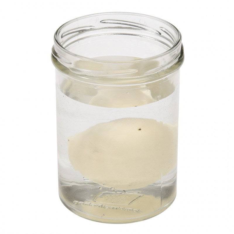 Hatch your own dinosaur egg | NSPCC Shop.