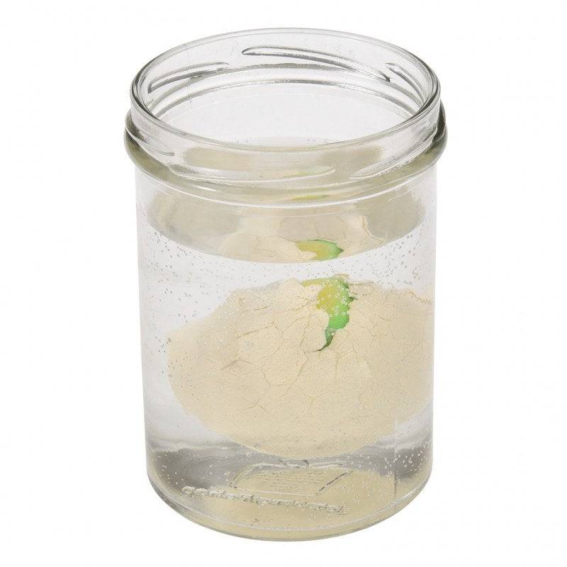 Hatch your own dinosaur egg | NSPCC Shop.
