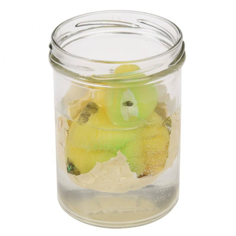 Hatch your own dinosaur egg | NSPCC Shop.