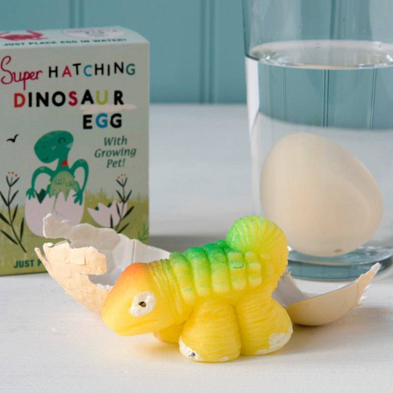 Hatch your own dinosaur egg | NSPCC Shop.