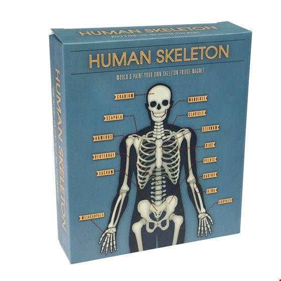 Make your own glow in the dark skeleton magnet - NSPCC Shop
