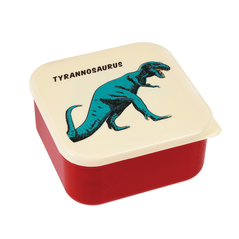 Prehistoric Land Dinosaur Snack Boxes (Set Of 3) - NSPCC Shop